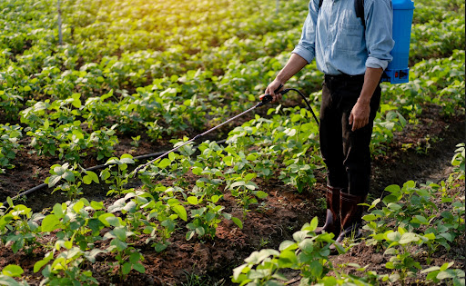 Fertilisers Mauritius: Choosing the Best for Your Crops