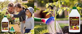 Chemicals Mauritius: 5 Tips to Choose the Right Products