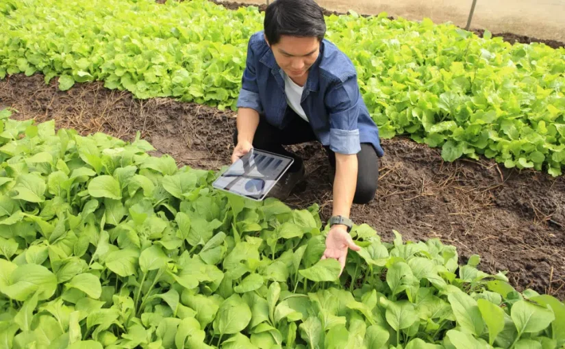 Fertilizers Mauritius: 3 Ways to Grow a Greener Garden