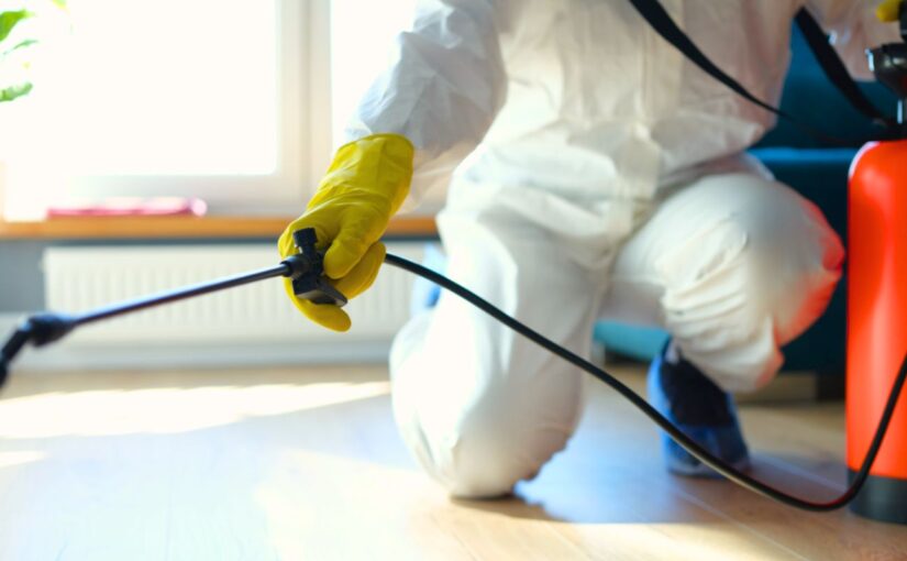 Pest Control Mauritius: Effective Tips to Stay Pest-Free