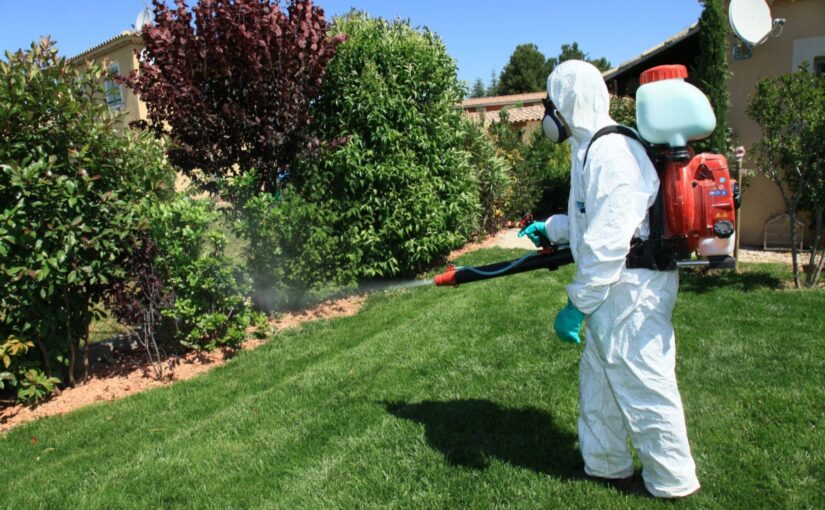 Pest Control Mauritius: Top Solutions for a Healthy Garden