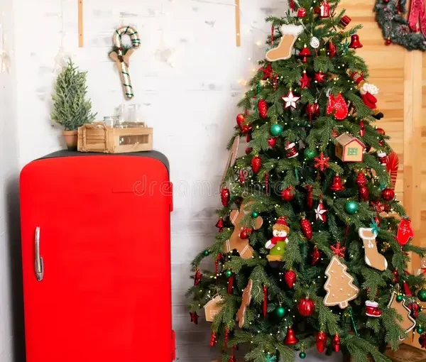 Refrigeration Mauritius: How to Keep Food Fresh for Xmas?