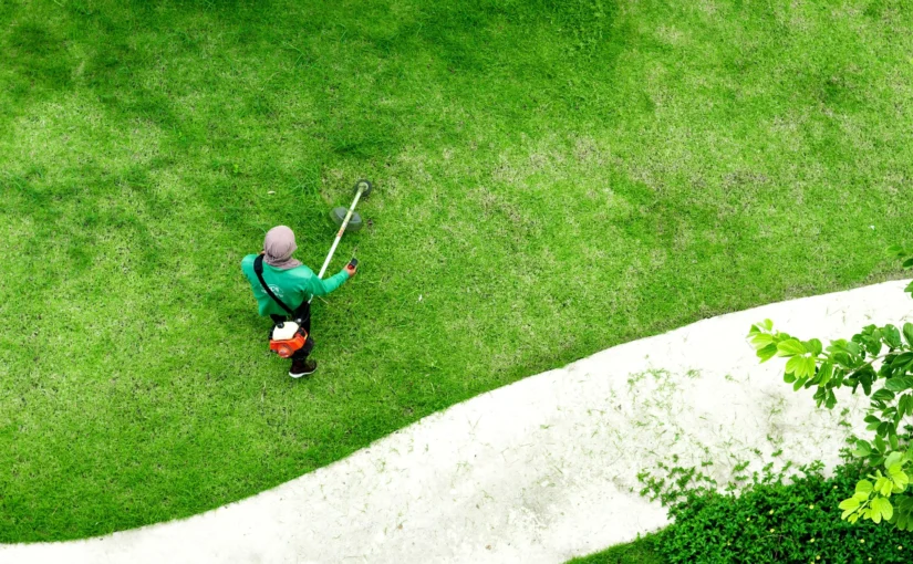 Fertilizers Mauritius: Green Up Your Lawn.