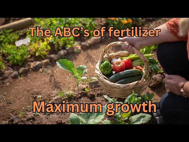 Fertilizers Mauritius: The ABCs for Beginners